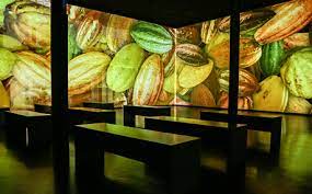 Projeccions audiovisuals